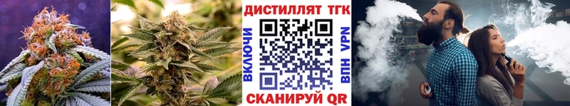 ТГК концентрат закладки Кушва